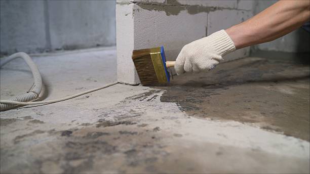 Top rated local Waterproofing specialists in Burlington, OH
